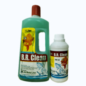 B.R. Clean