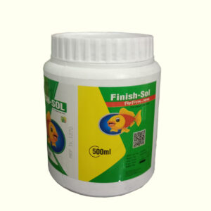 Finish -Sol